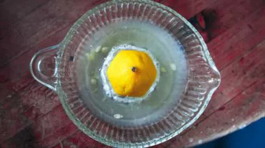 garnishing-instructions-image